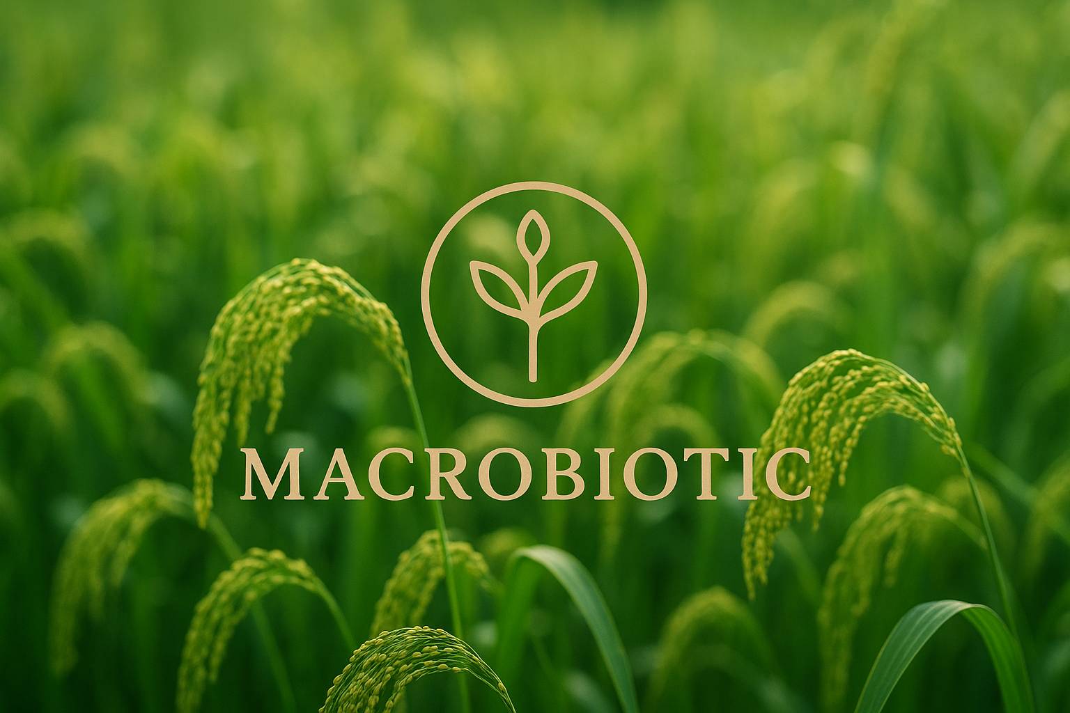 マクロビの基本知識☆太らない食事法